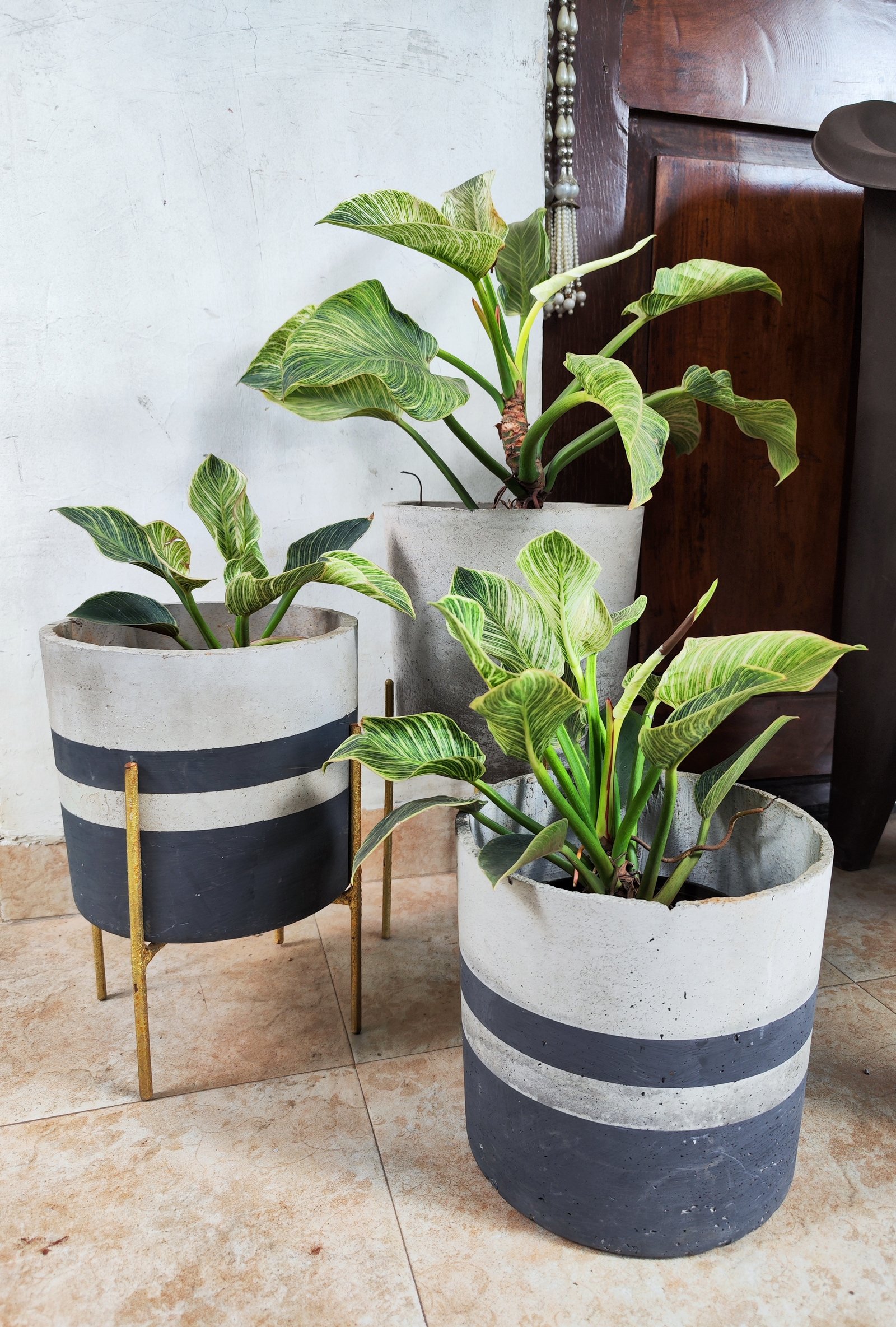 Orbita Signature Pot