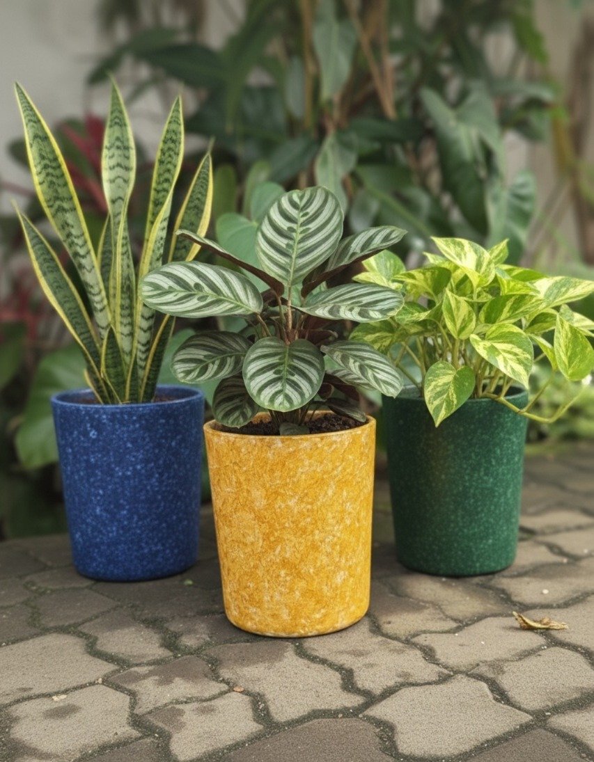 Premium planters collection